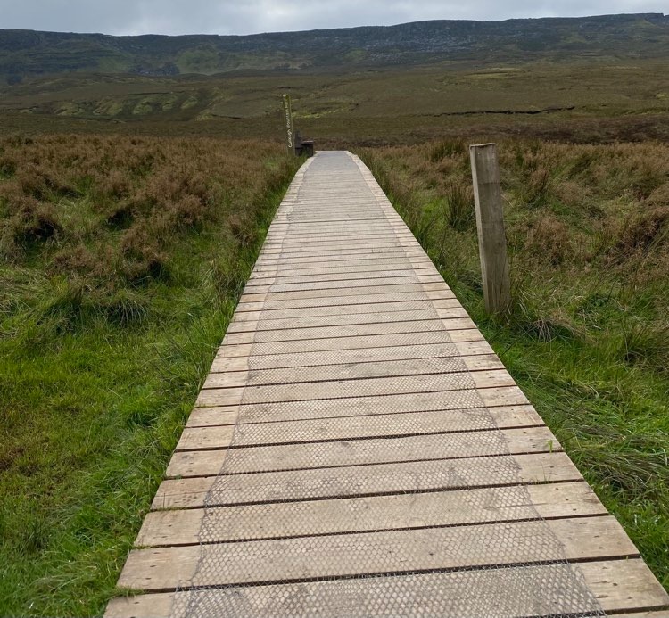 Finance Minister explores value of peatland on Cuilcagh visit